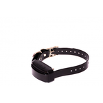 D-control 1000 Professional nav savienojams ar citiem D-control modeļiem